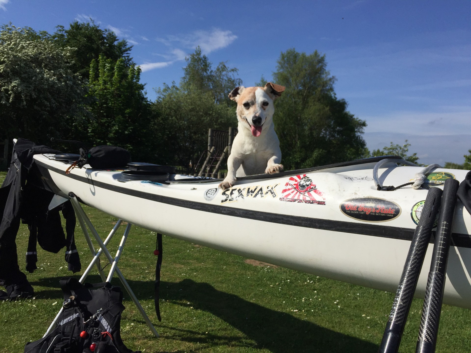 A small cute Jack Russell dog sitting in a white sea kayak