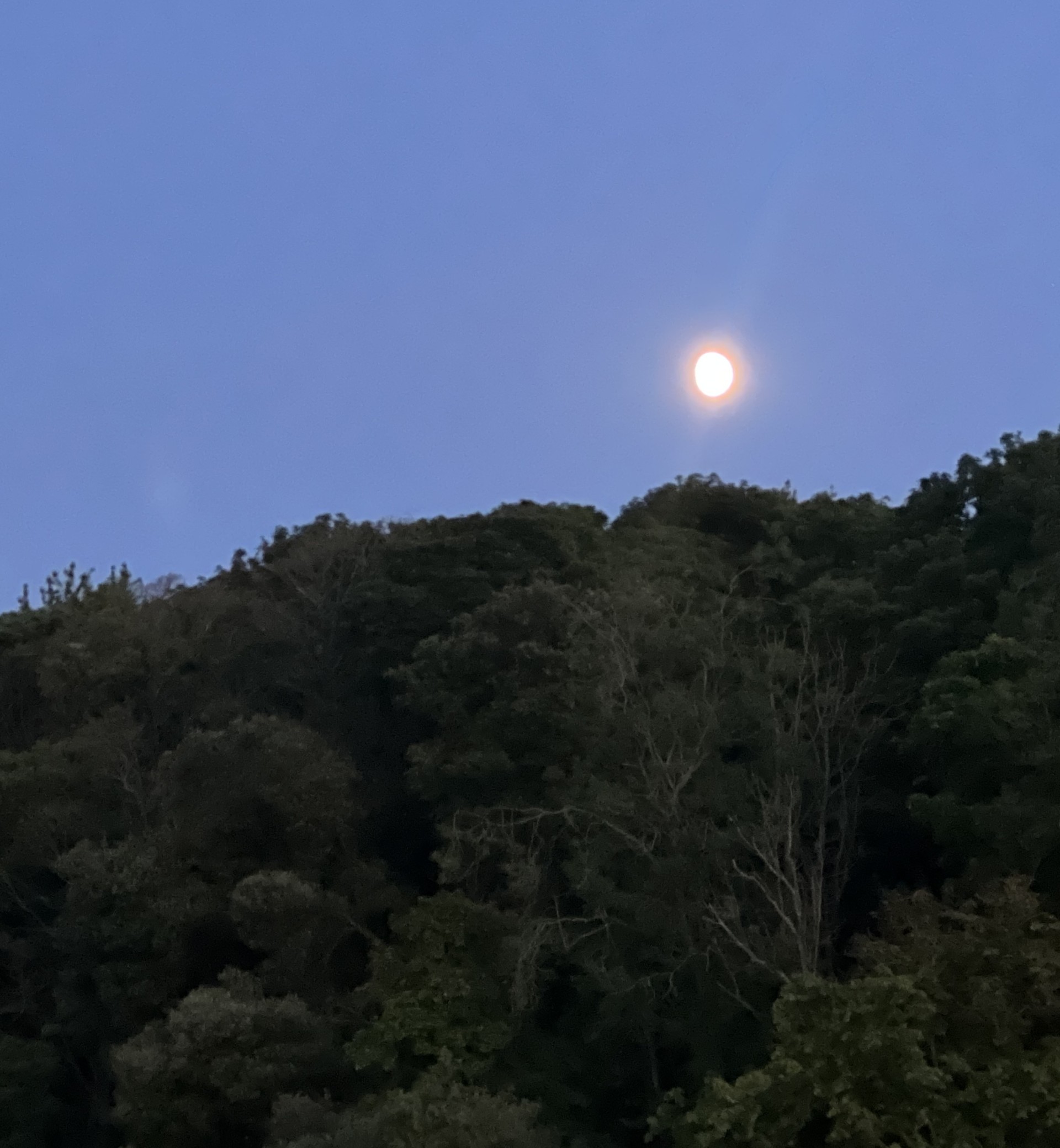 Full moon guided kayaking trip with NOMAD Sea Kayaking.