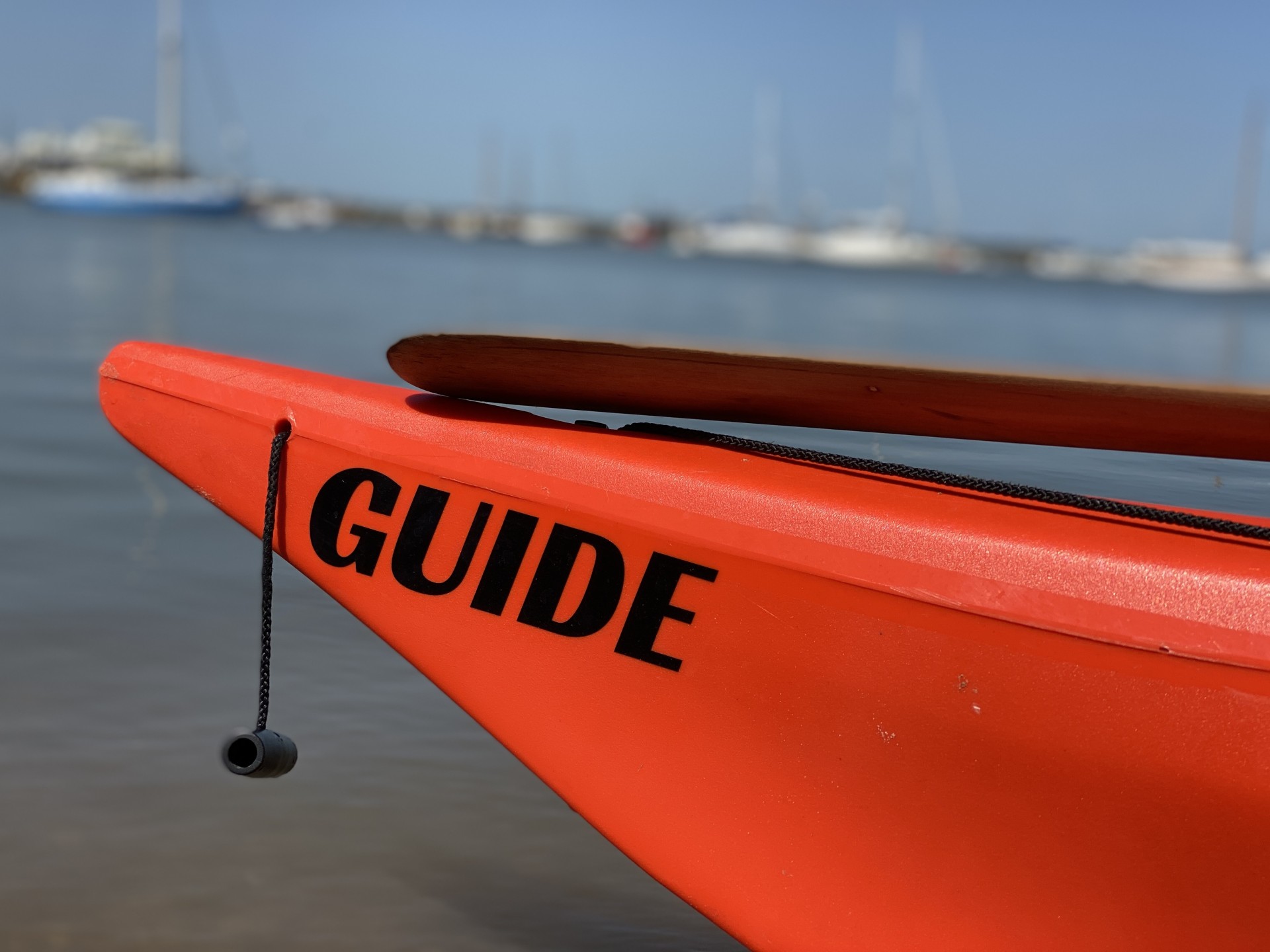 Guide kayak with NOMAD Sea Kayaking.