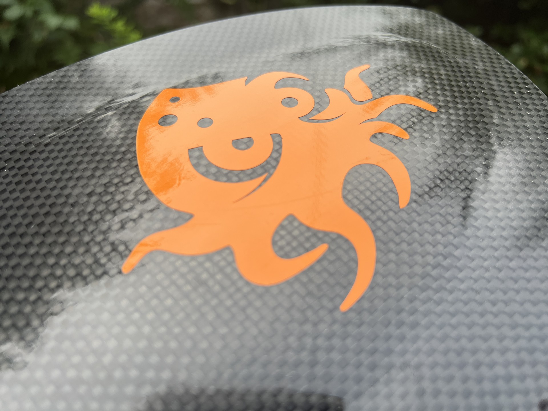 Kraken motif pops in orange colour.