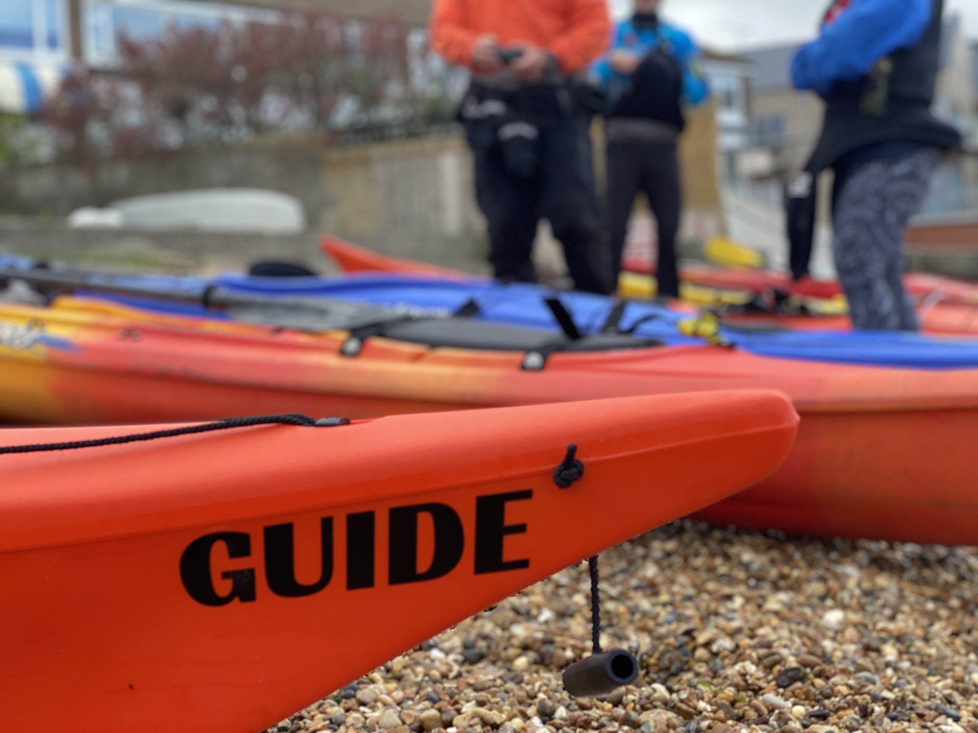 Guide kayak with NOMAD Sea Kayaking.