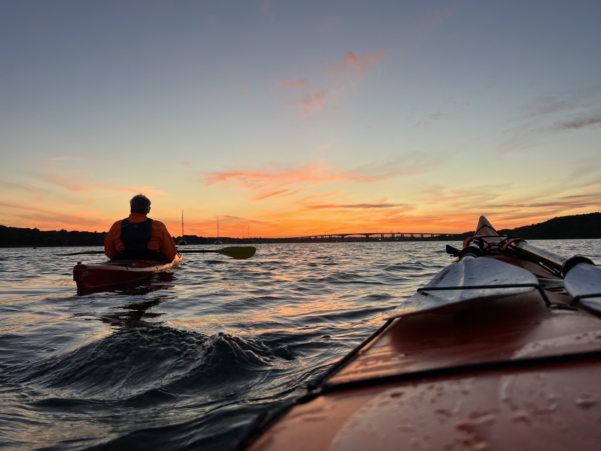 Night trip to wild seal colony with NOMAD Sea Kayaking.